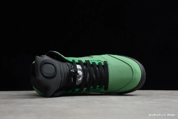 5 SE CK6631-307 OREGON AIR CK6631-307 JORDAN RETRO 0301